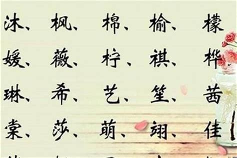 木在下面的字|带木的字